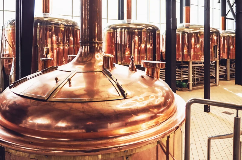 Efficient clarification for beer, wine, and milk with ceramic membrane filters that reduce operating costs and resource consumption