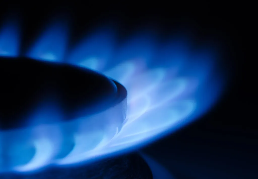 Radiator plates for industrial drying systems and gas heaters, flexibly adaptable to customer requirements